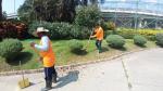 กองช่าง รายงานผลการตรวจสอบการดำเนินการดูแลบำรุงรักษาต้นไม้ ส