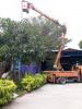 กองช่าง รายงานผลการตรวจสอบการดำเนินงานซ่อมแซมไฟฟ้าสาธารณะและ