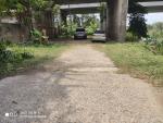 กองช่างตัดหญ้าใต้สะพาน